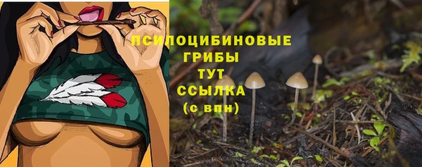 дживик Абинск